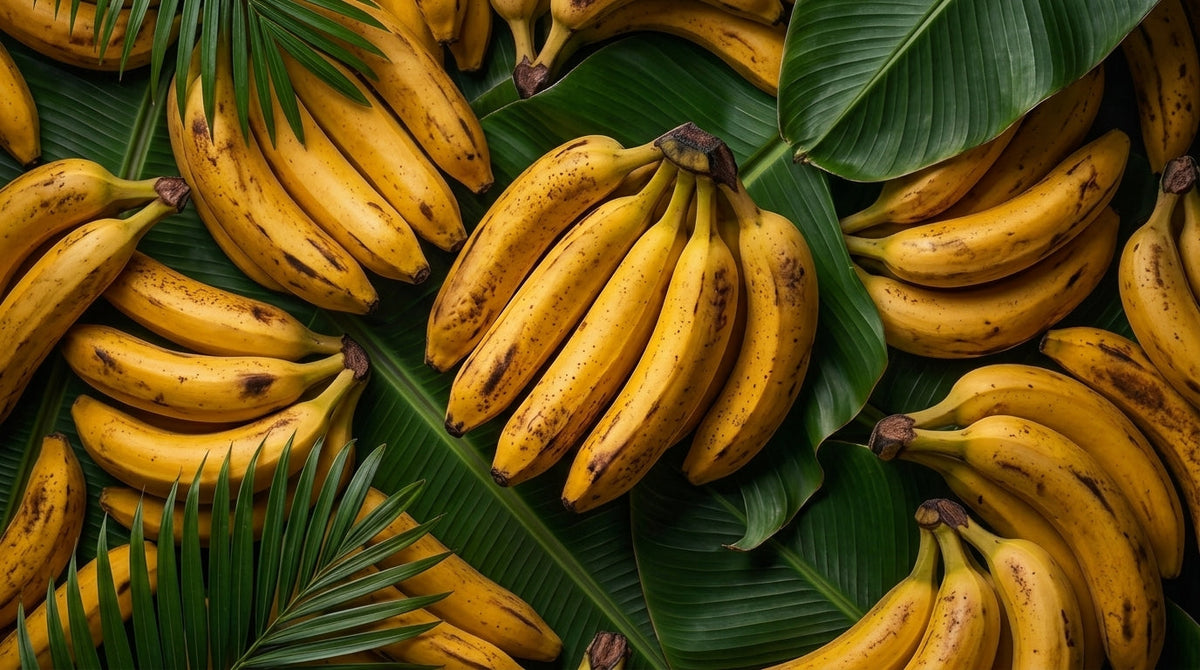 Ranking suszonych bananów 2026